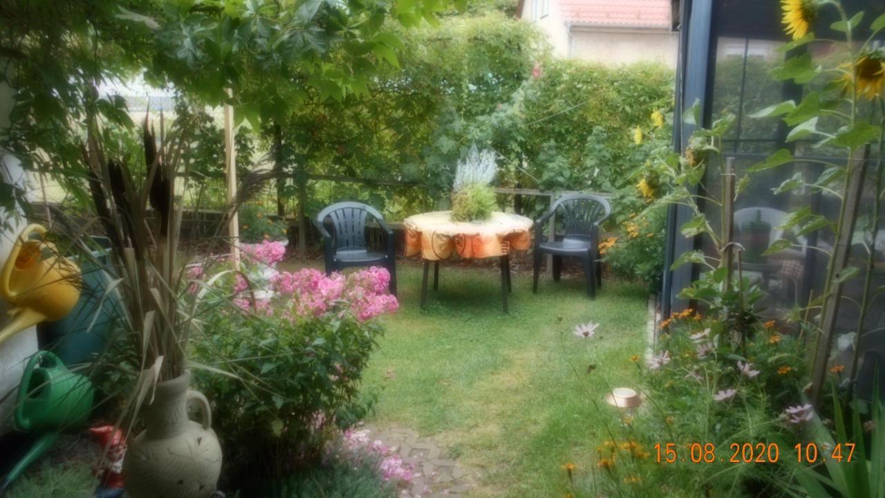 Vermiete Sehr Schoenes Apartment In Dankerode Im Harz Luaran gambar