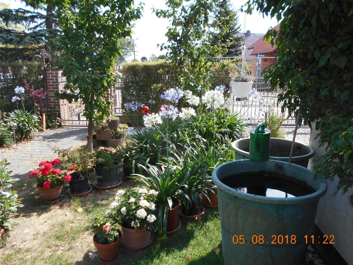 Vermiete Sehr Schoenes Apartment In Dankerode Im Harz Luaran gambar